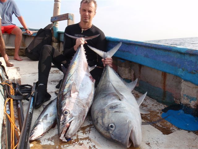 Дельфины, тунцы и блюз на Шри Ланке